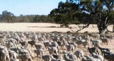 Come along to Producers Support Day