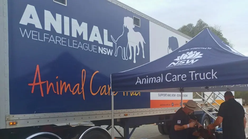 Free pet health services coming to town