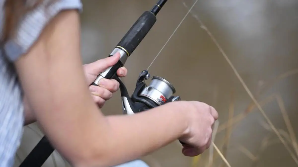 Fishermen invited to have say on future of recreational fishing