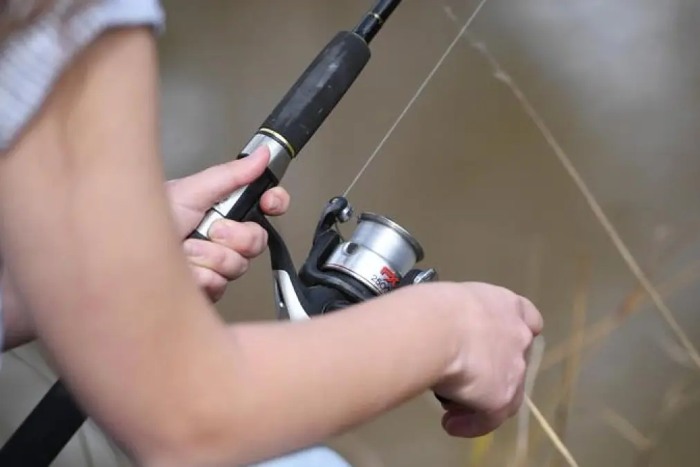 <p>Local anglers are being encouraged to have their say on the future of recreational fishing in NSW.</p>\\n