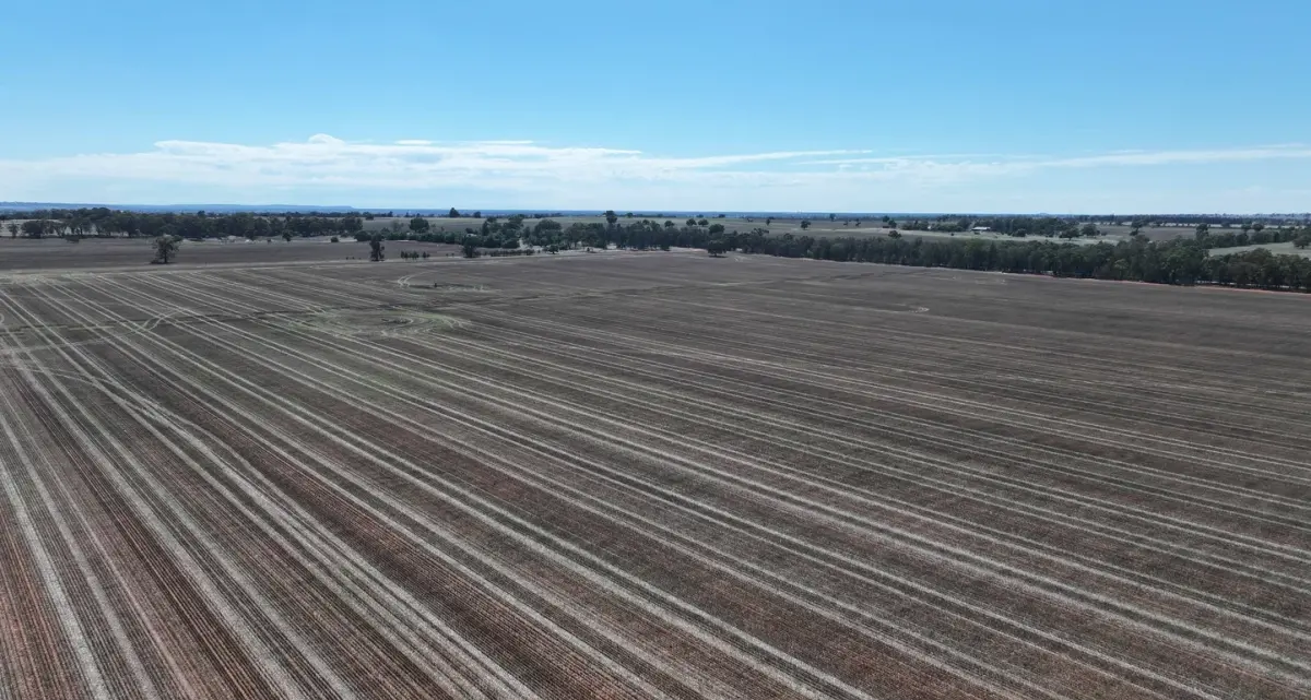 Father loses court battle to reclaim $4.8 million Riverina family farms from son
