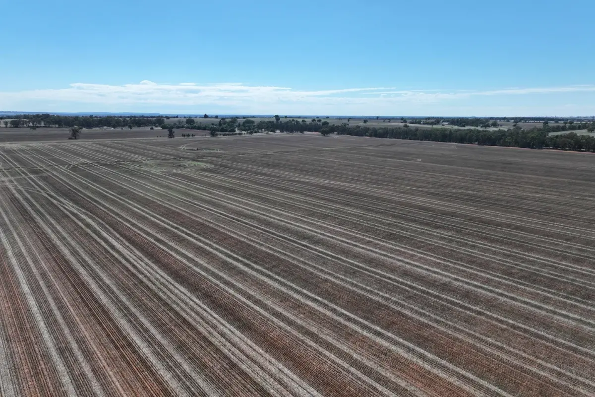 <p>The two family farms are located in Boree Creek.  PHOTO: Miller & James Real Estate/Domain.com.</p>\\n