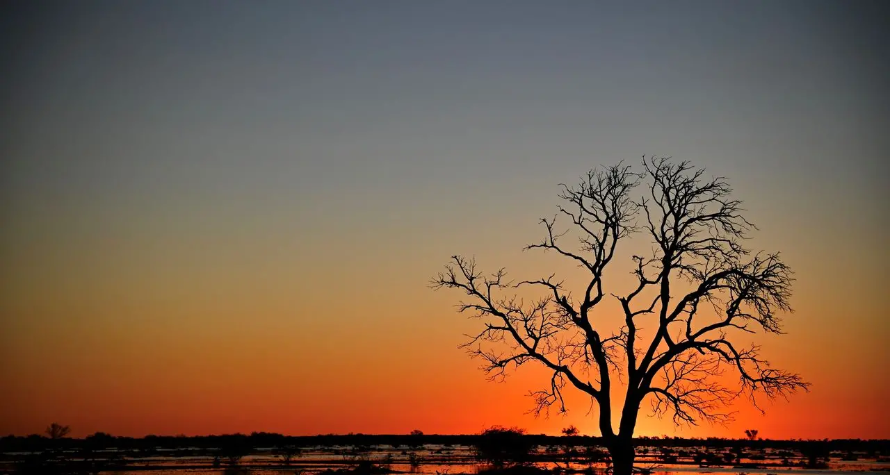 Fuel prices surge hits regions the hardest