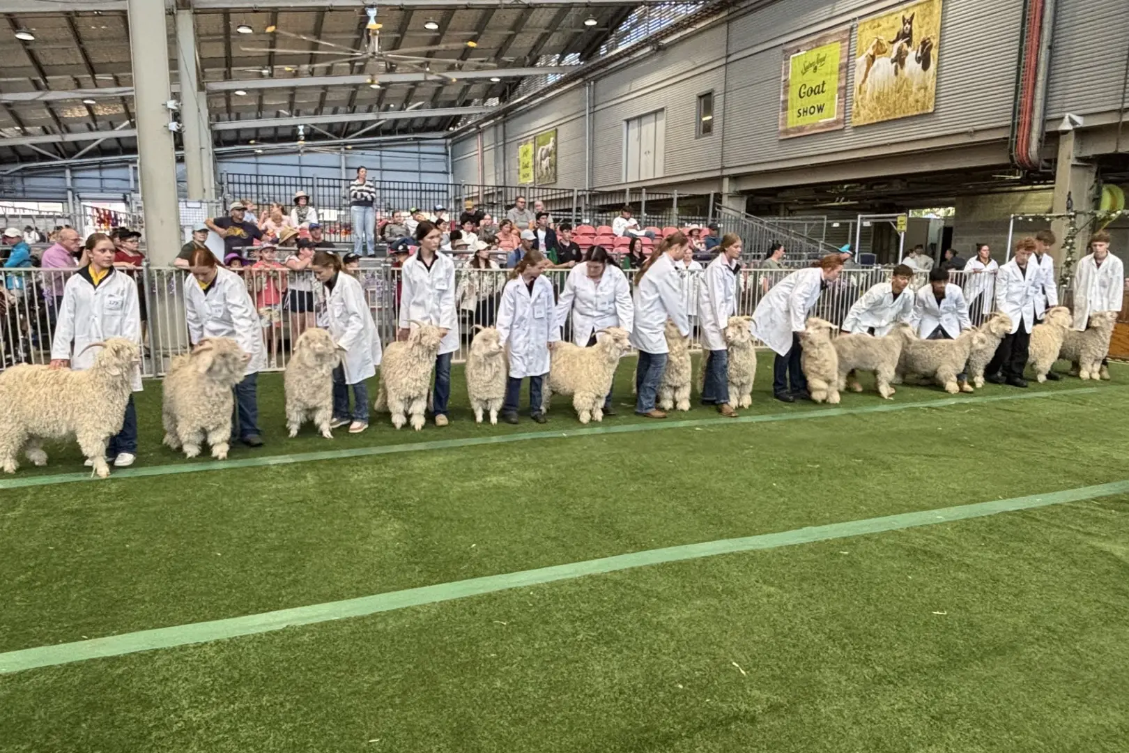 <p>Members of the Narrandera High School Angora Show team that was successful at the 2026 Sydney Royal Easter Show.</p>\\n