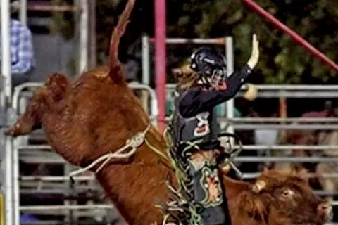 <p>Dustin Dillon is currently ranked sixth in Australia for Junior Steer Riding and an impressive 15th across All-Round Cowboy, a huge achievement.</p>\\n