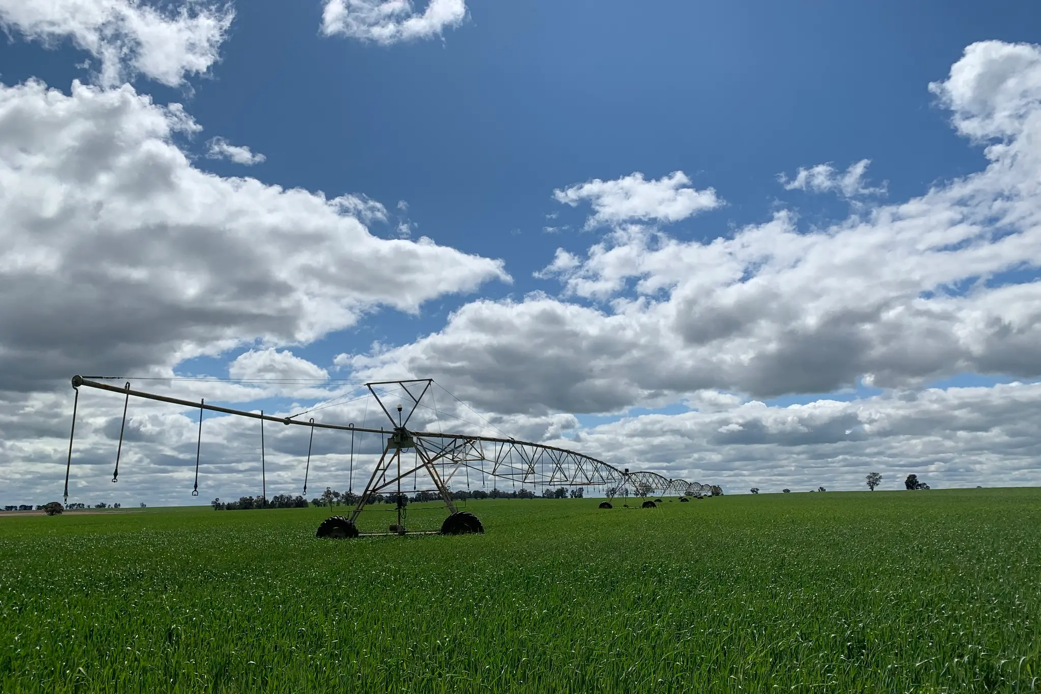 <p>WATER WORRIES: Dr Madeleine Hartley said the latest water restrictions are part of a broader pattern of incremental reductions to water reliability without compensation for farmers.</p>\\n