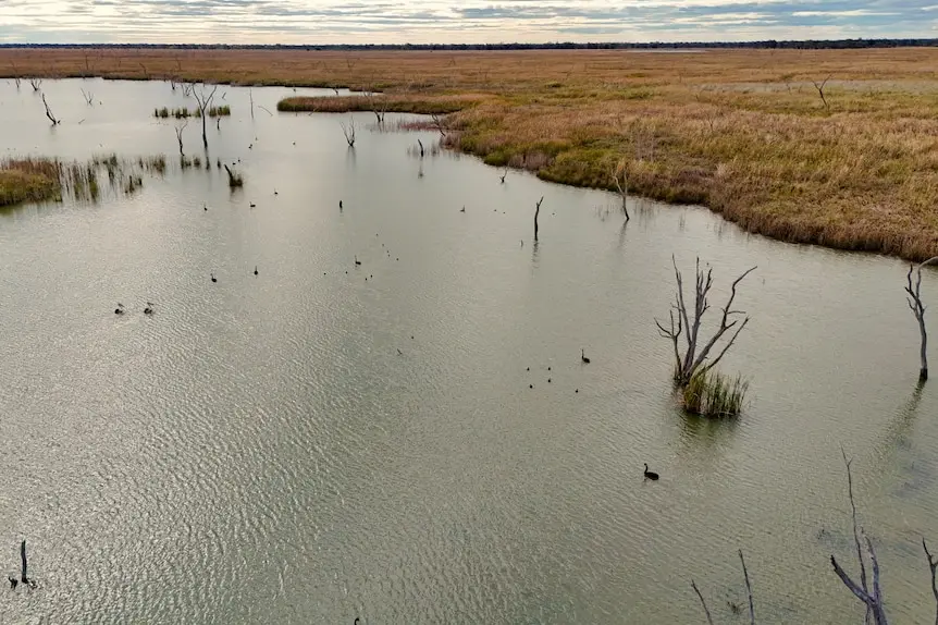 <p>Environment water flows will be able to resume in the Gwydir Wetlands, following the passing of the bill. PHOTO: Supplied</p>\\n