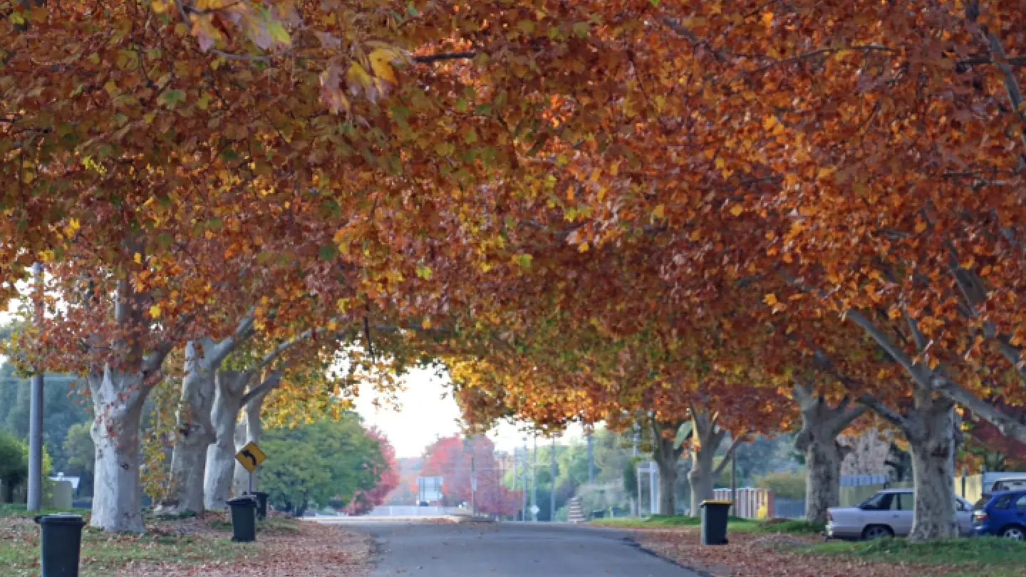 Extreme temperatures for Autumn