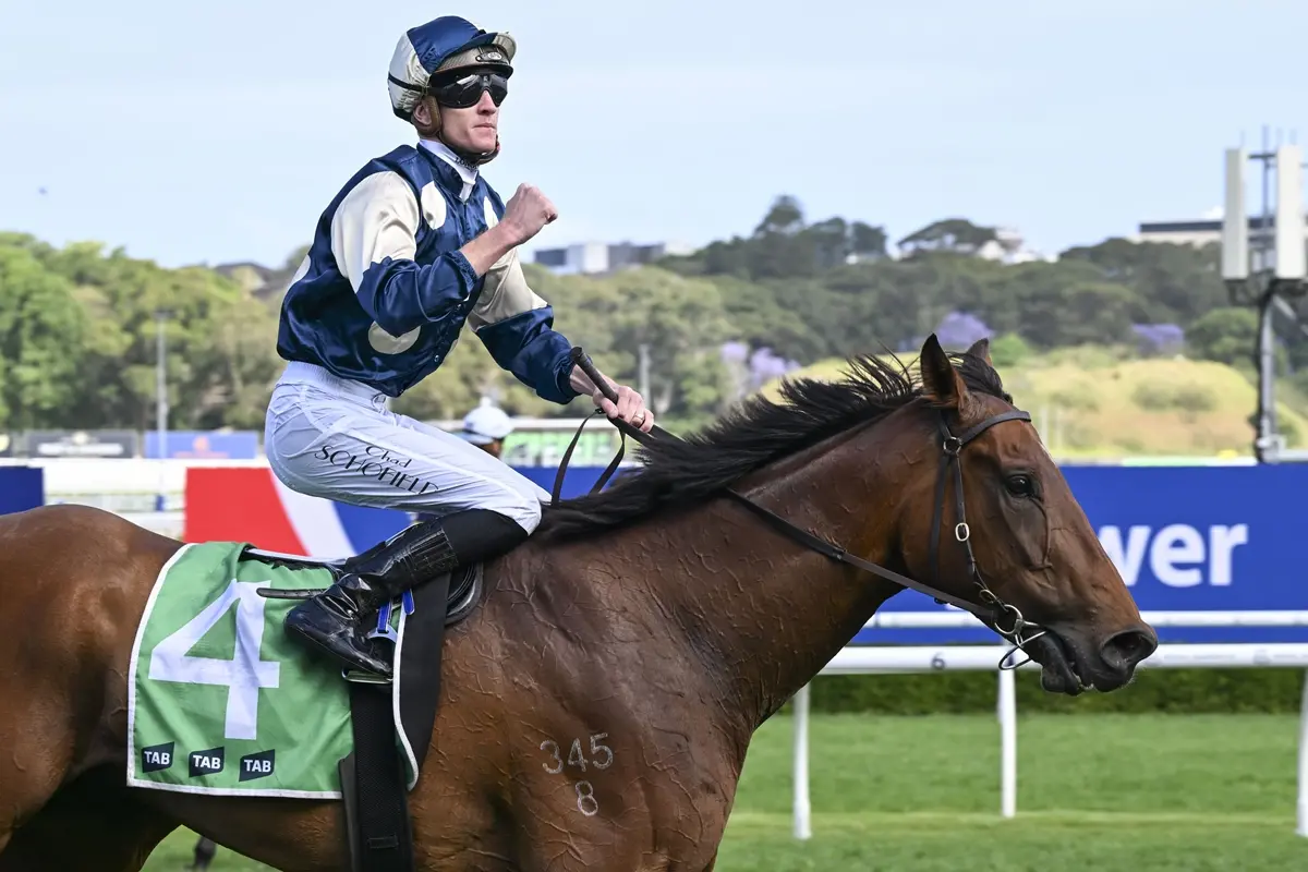 Big guns headlineNarrandera Cup nominations