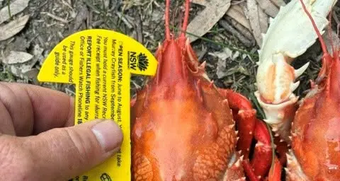 Berembed Weir partof high visibility patrols during Murray crayfish season