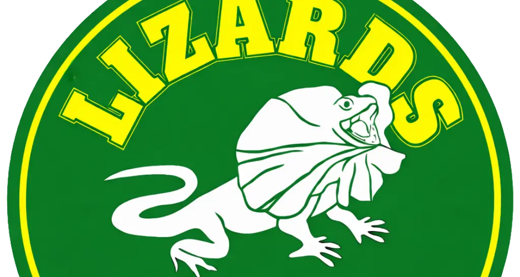 Lizards reserves gain six-point lead in Group 20