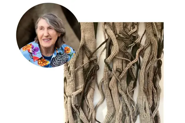 <p>Janet Steele, Figtree Connections, 2024. Image by the artist. Headshot by Edward Cross</p>\\n