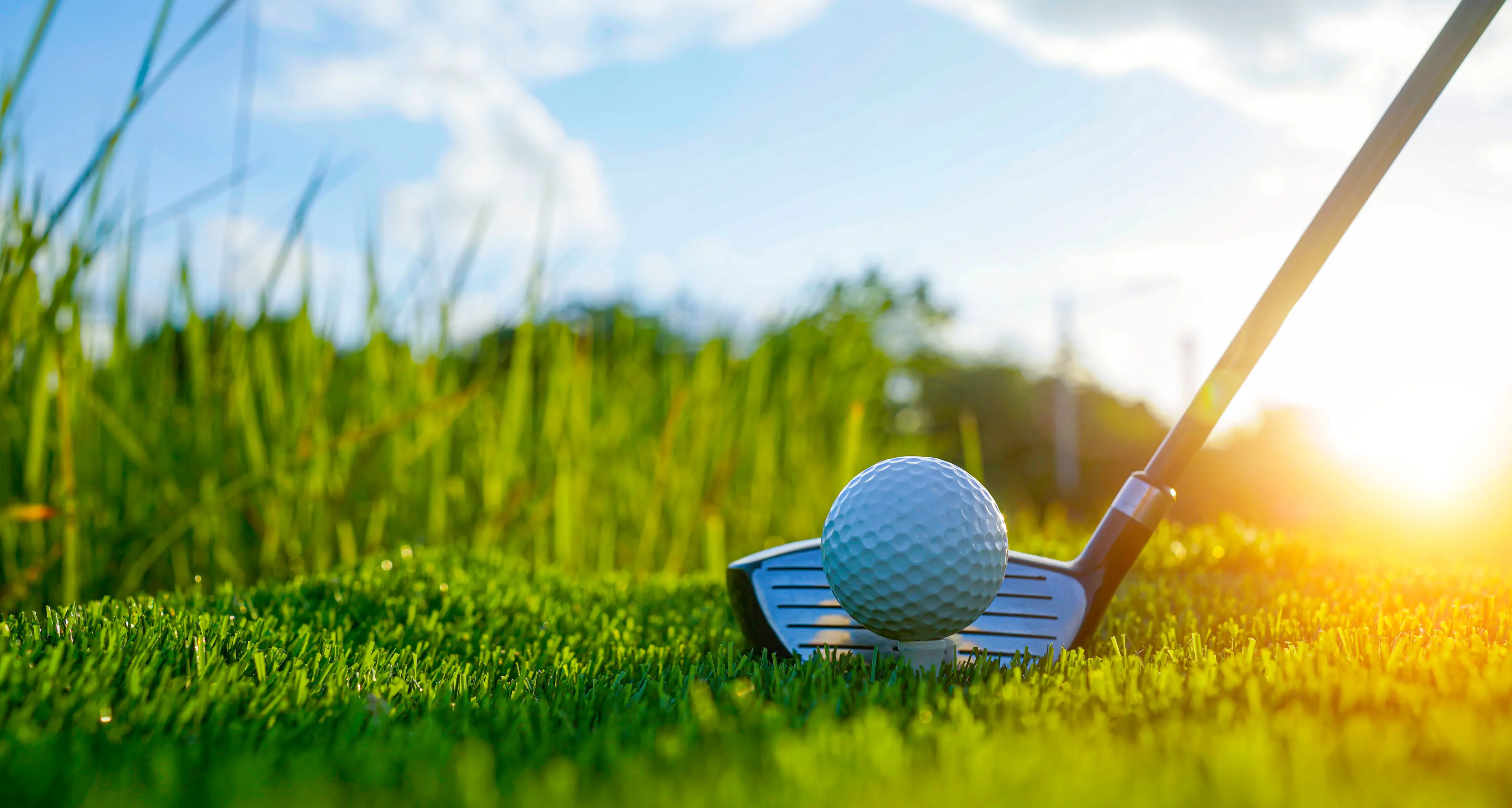 Narrandera golf results