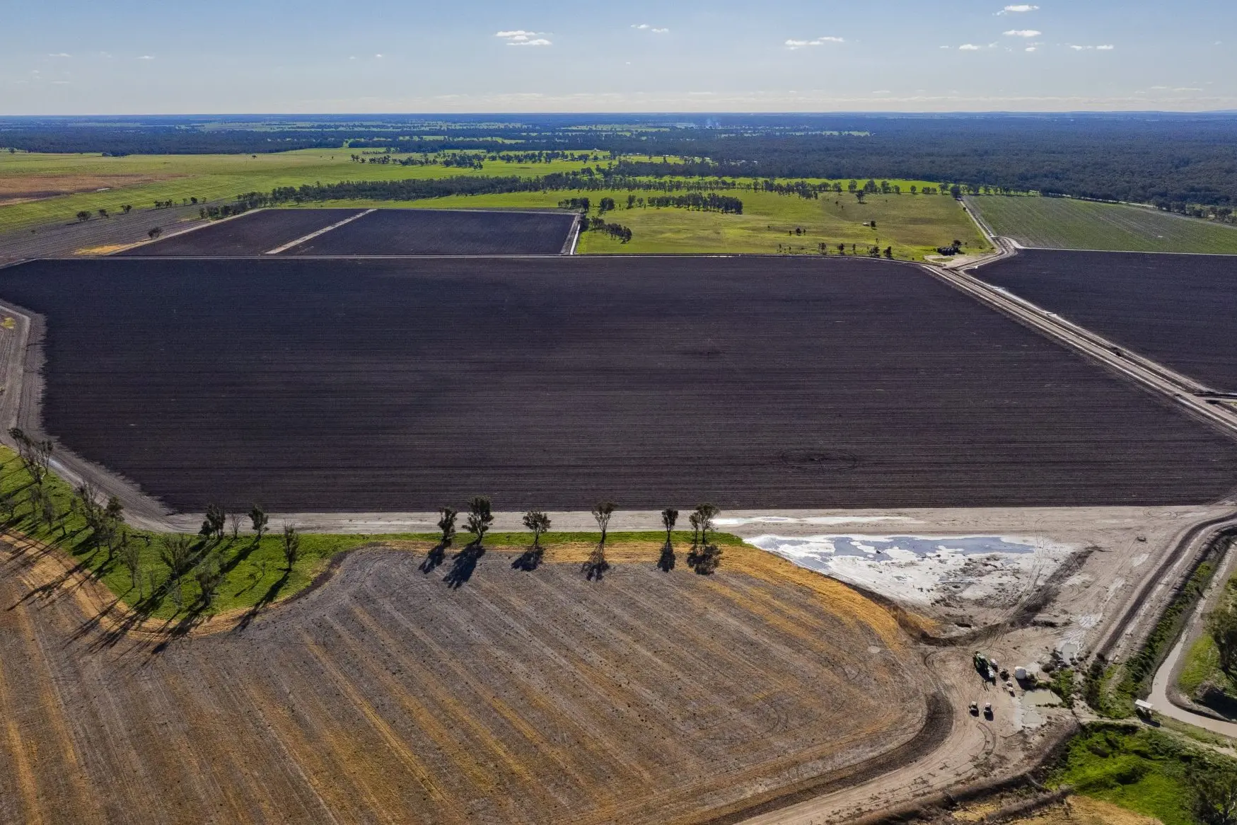 <p>Canola this year accounts for 1212ha of the Maxwell Ag Portfolio\\u2019s cropping program.</p>\\n
