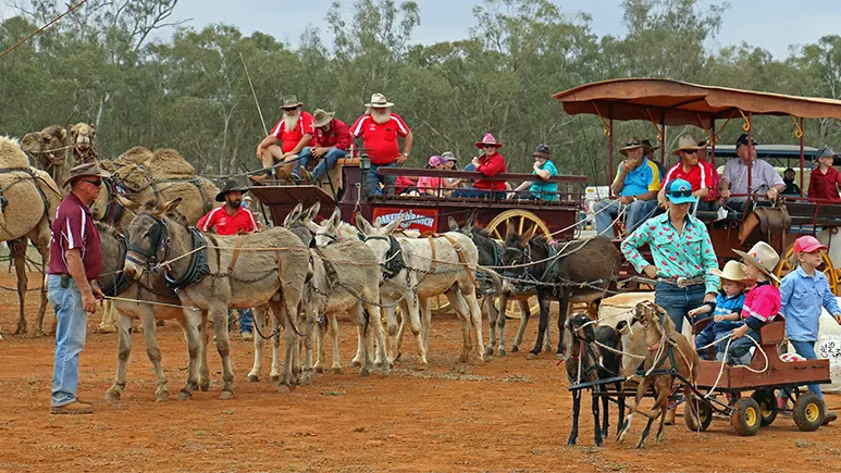 Popularity of Barellan Good Old Days Festivalrequires extra land to cater for overflow