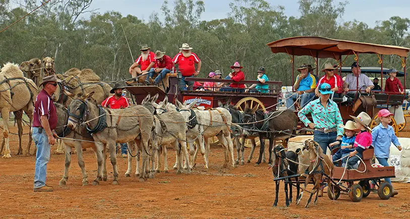 Popularity of Barellan Good Old Days Festivalrequires extra land to cater for overflow