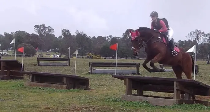 Olympic rider skills versus local pony club competitors