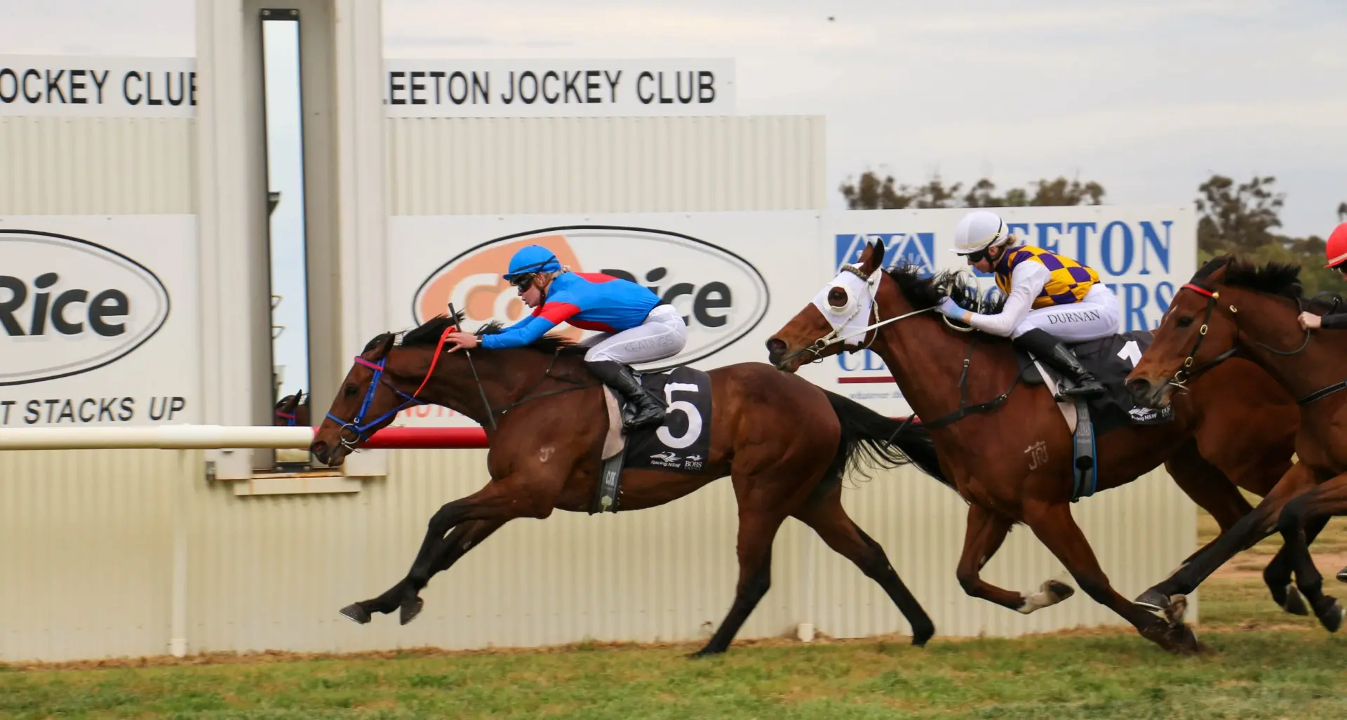 Strong fields expected for Leeton TAB spring race meeting