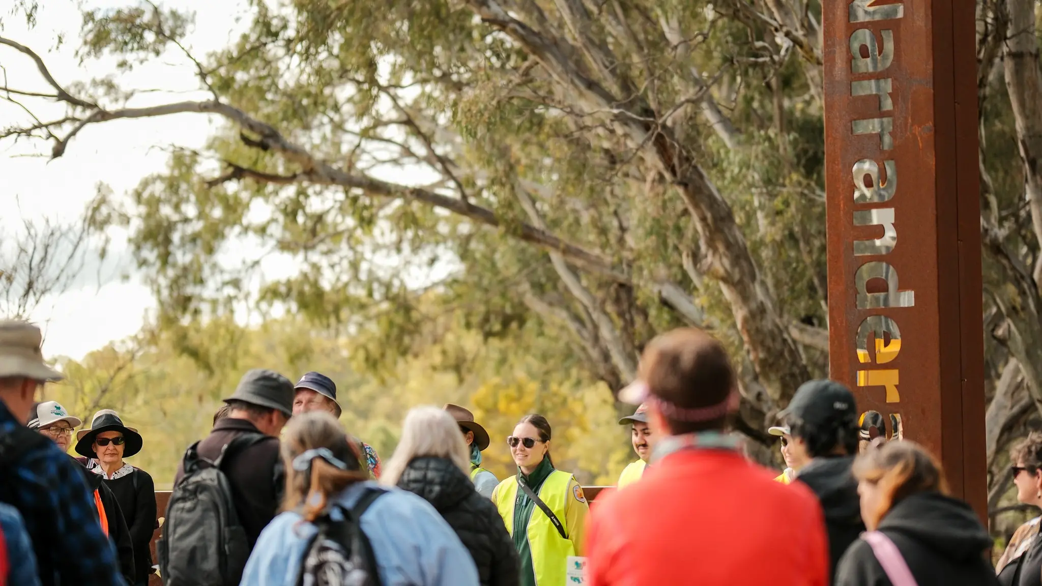 Koala Festival turns conservation into action