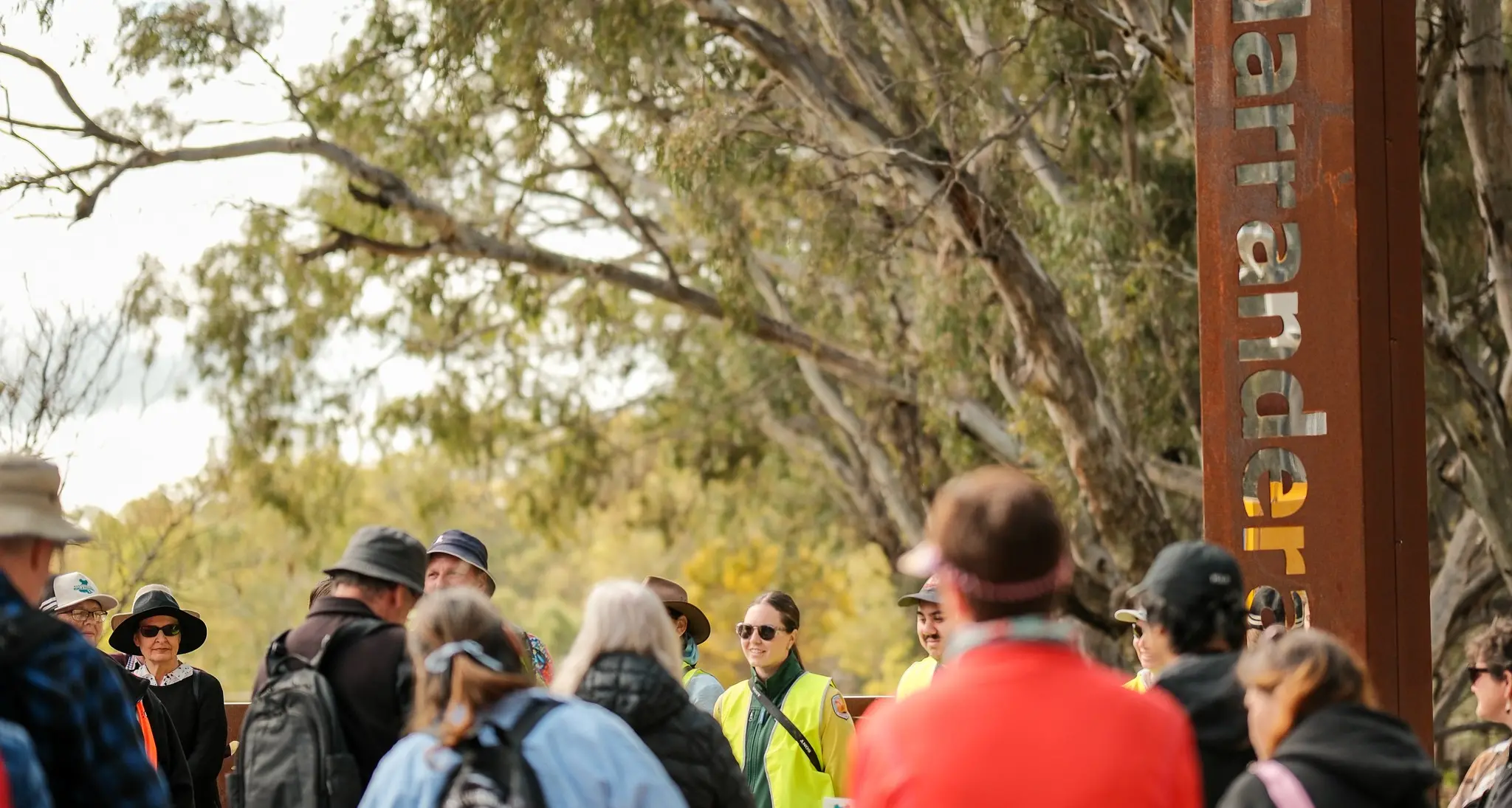 Koala Festival turns conservation into action