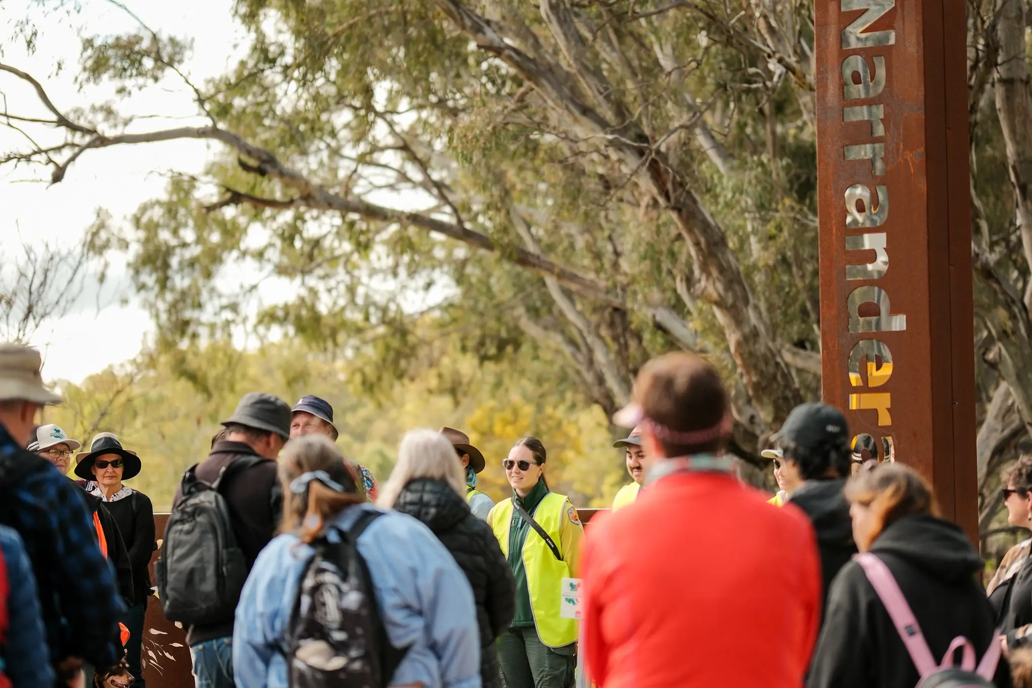 <p>Koala Count at Koala Festiva 2025. PHOTO: Meg Hollins</p>\\n