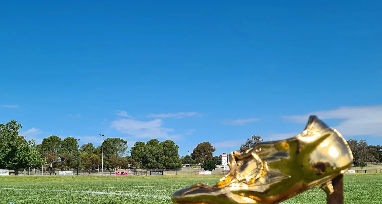 Golden boot scheduled for Remembrance Day