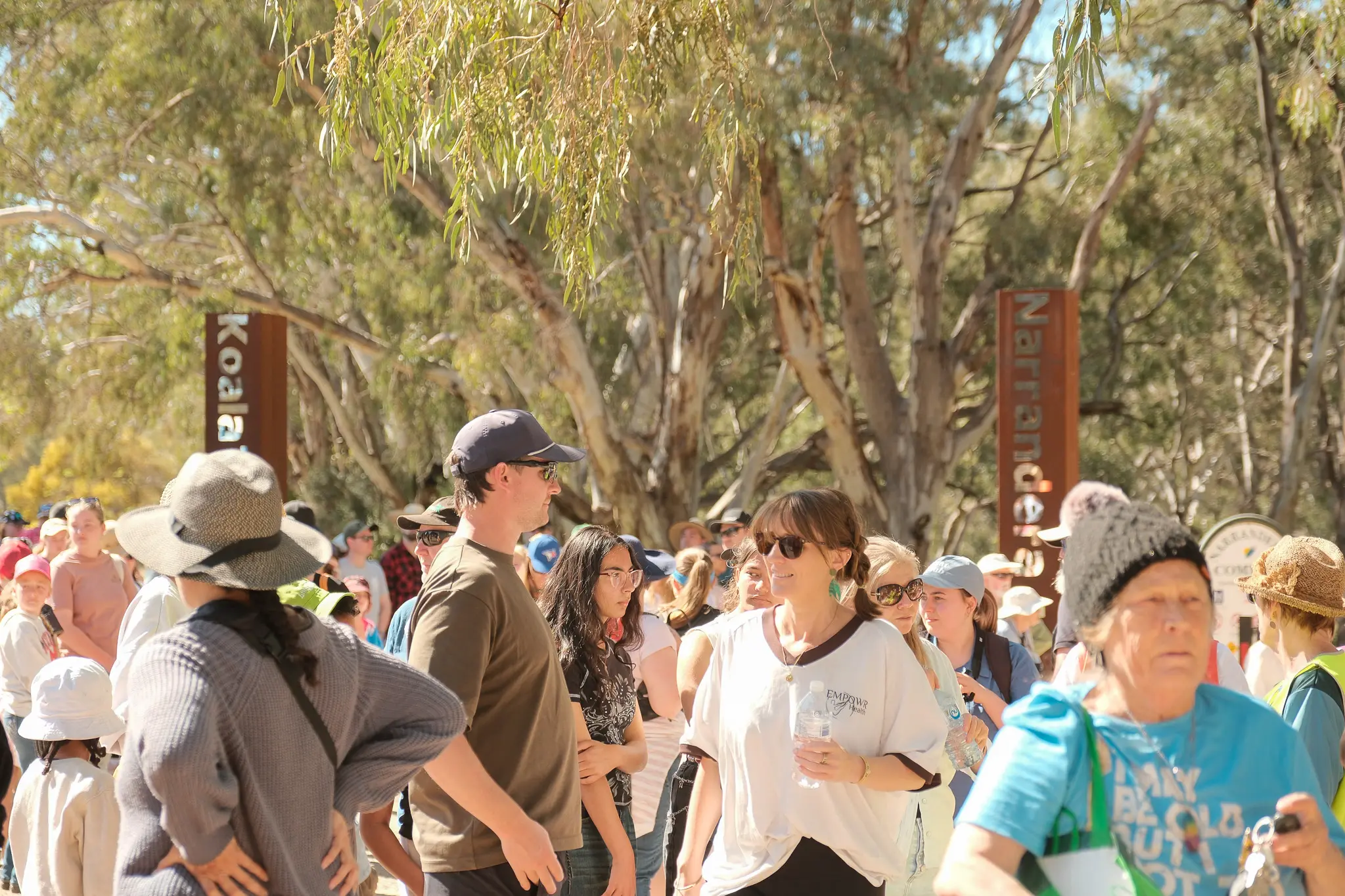 Festival ends with a big win for koalas