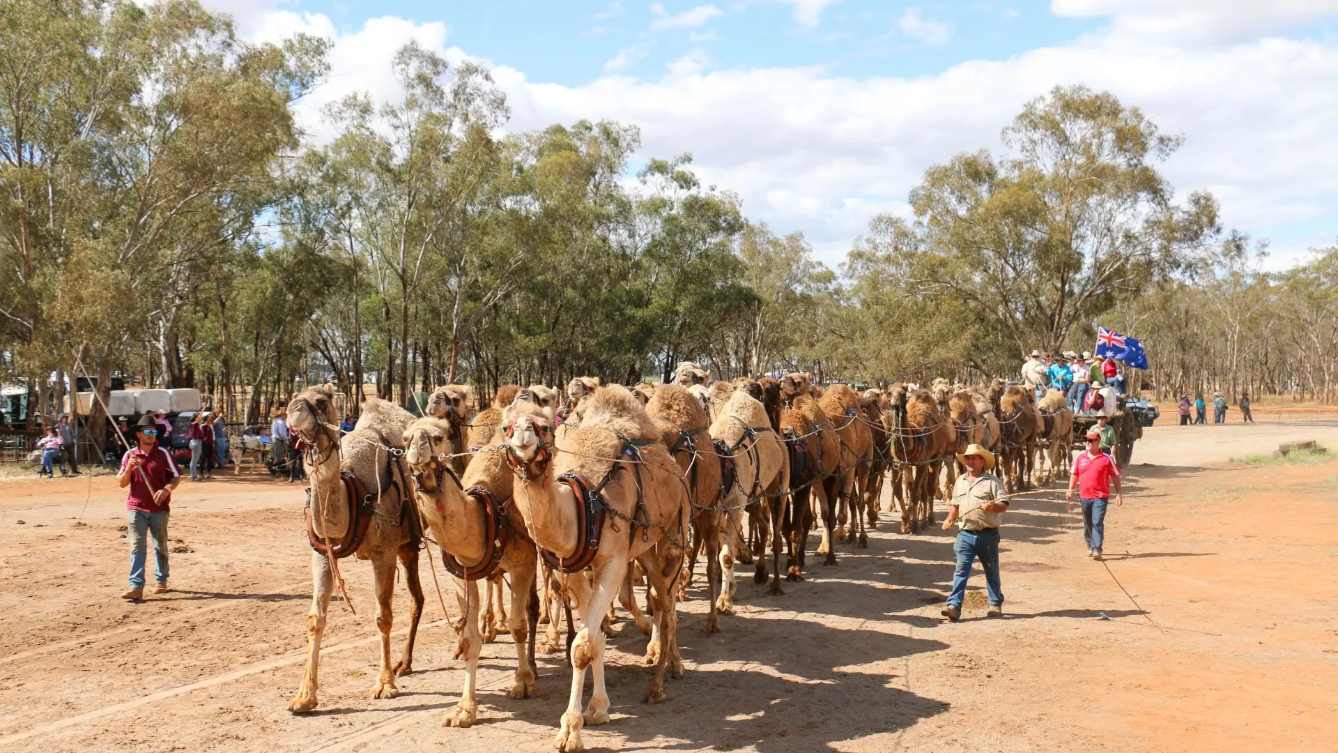 Camel team sails into the record books at Good Old Days Festival